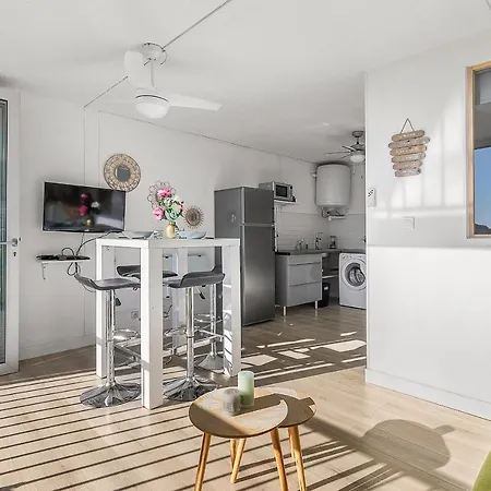 The Palm Walk By Pom, Piscine, Parking, Wifi *